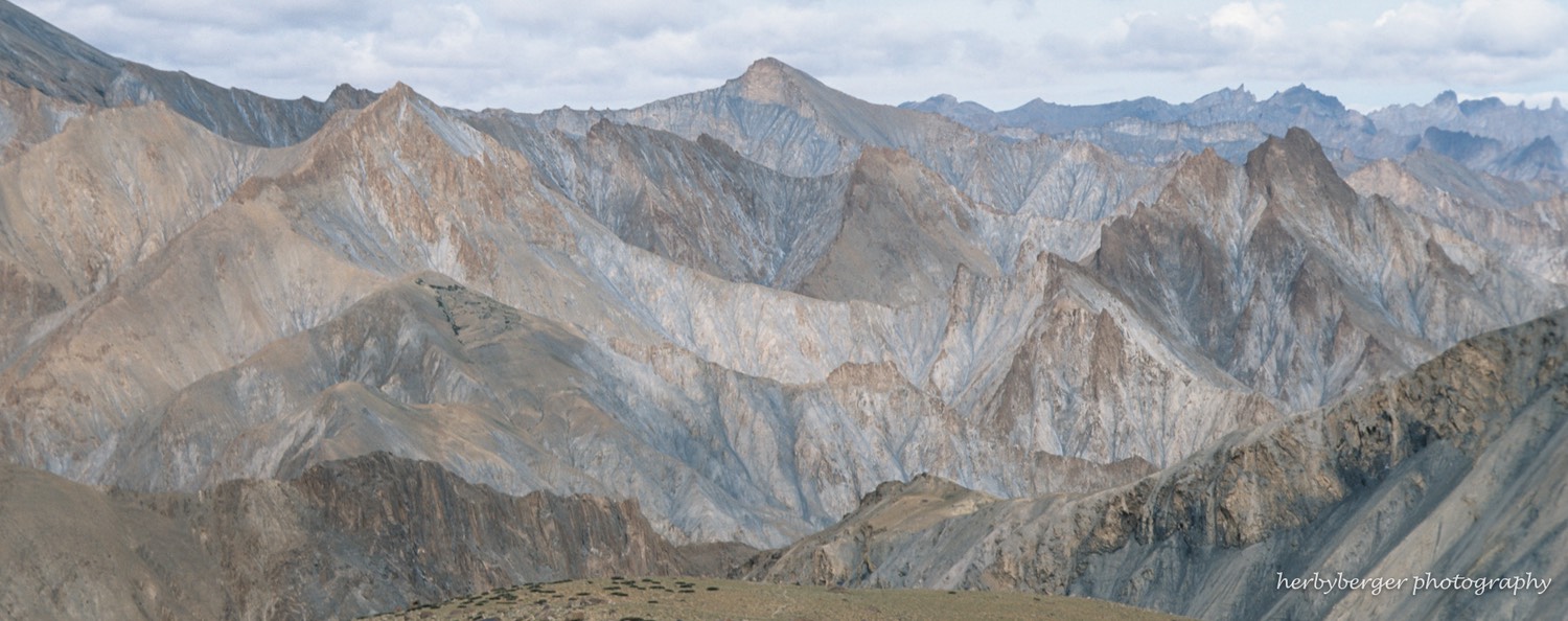 Ladakh-14